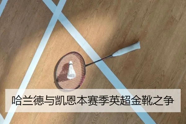 哈兰德与凯恩本赛季英超金靴之争 - QIUSU